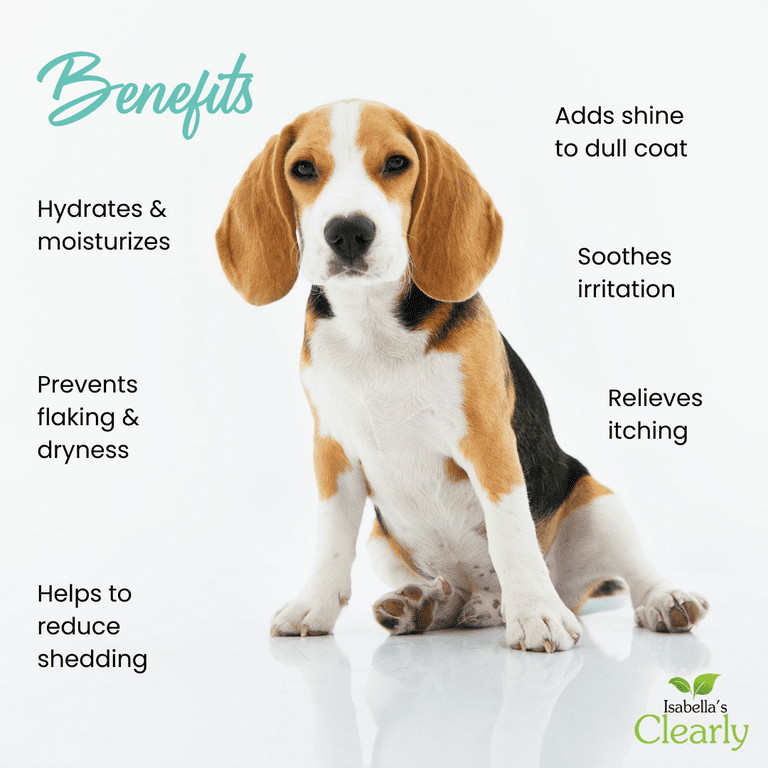 Natural SKIN COAT Oil for Dogs Skin Soother with Coconut Almond and Olive Oils Soothe Dry Skin Allergies and Skin Irritation Add Softness