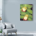 thumbnail image 3 of Trademark Fine Art 'Lime Orchid I' Canvas Art by Jason Higby, 3 of 4