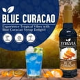 thumbnail image 3 of Syruvia Blue Curacao Syrup Pure Cane Coffee Flavoring Syrup, 25.4 fl Oz With Pump, 3 of 6