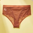 thumbnail image 5 of VONCOS Womens Breathable Lace Trim Underwear Mid Rise Mesh Briefs Wide Waistband Soft Panties Brown,Size S, 5 of 8