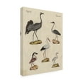 thumbnail image 2 of Trademark Fine Art 'Heron Classification I' Canvas Art by Friedrich Strack, 2 of 4