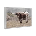 thumbnail image 3 of Stupell Industries Texas Longhorn Photograph White Framed Giclee Art, design by Carol Robinson, 16 x 24, 3 of 8