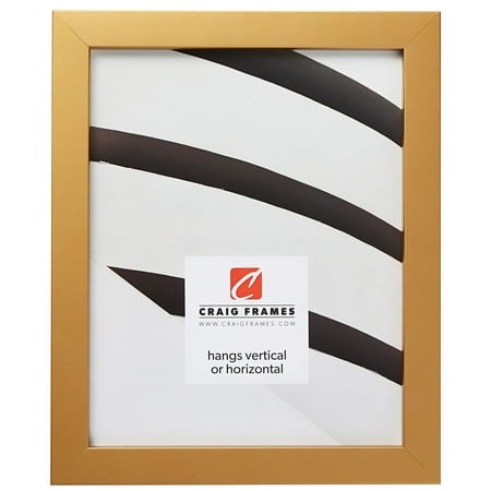 Craig Frames Confetti Modern Gold Picture Frame 13 x 19 Inch