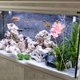 thumbnail image 4 of unbranded 4Ud Artificiales Para Terrarios De Reptiles Con Para Acuarios Y Peceras De Casa, 4 of 7