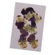 thumbnail image 5 of 10 piezas muestras de flores de pensamiento de prensa de tamaño Adornos de flores secas prensadas reales Materiales de bricolaje Fabricación de, 5 of 9