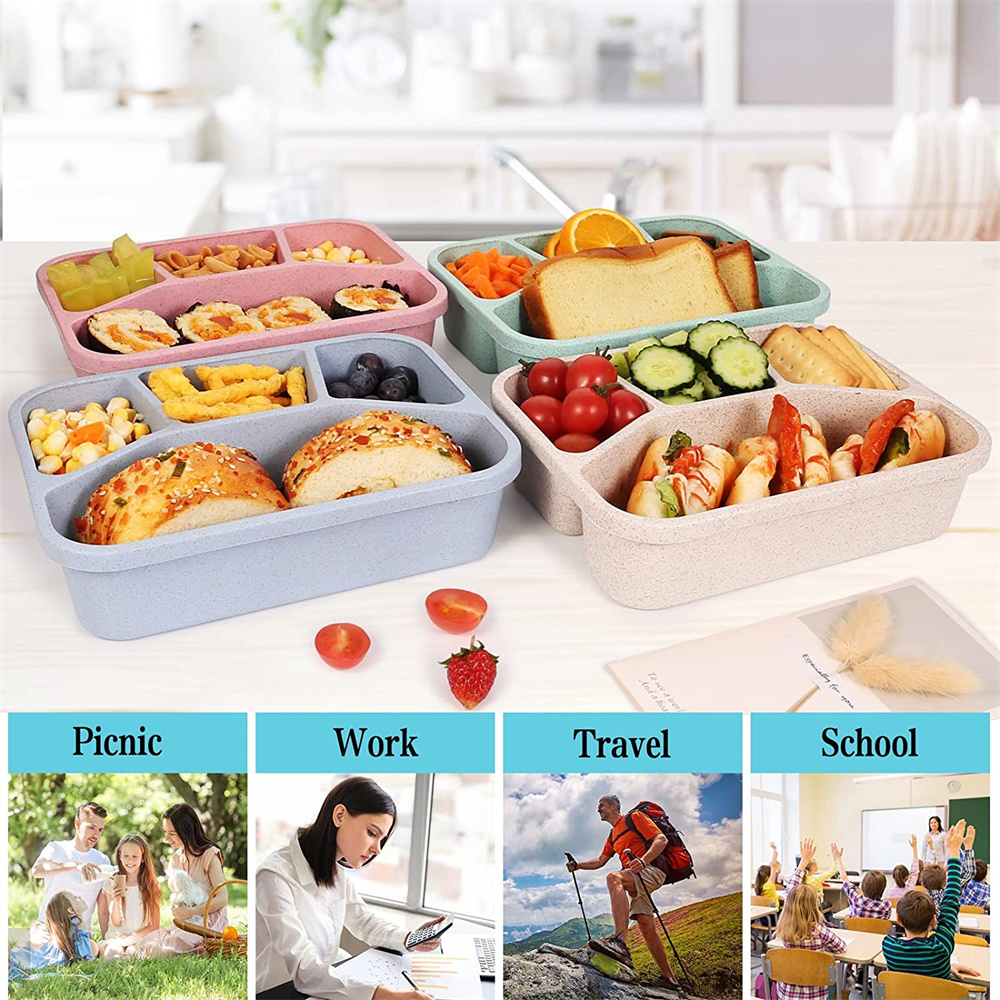 How you can choose the best lunch box for picnic and travel