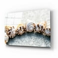 thumbnail image 2 of Epic Art 'Spiral Seashells' by Elena Ray, Acrylic Glass Wall Art, 16"x12", 2 of 8