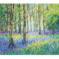 thumbnail image 2 of Gardner, Jennifer 17x15 White Modern Wood Framed Museum Art Print Titled - Bluebell Woods, 2 of 4
