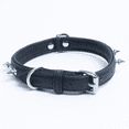 thumbnail image 2 of Genuine Leather Tooled Dog Collar | Handmade Collar | Rotterdam Spiked Collection | Perfect for Medium, Large and XL Dog Breeds | Stainless Steel Hardware | Brass Buckle, 2 of 3