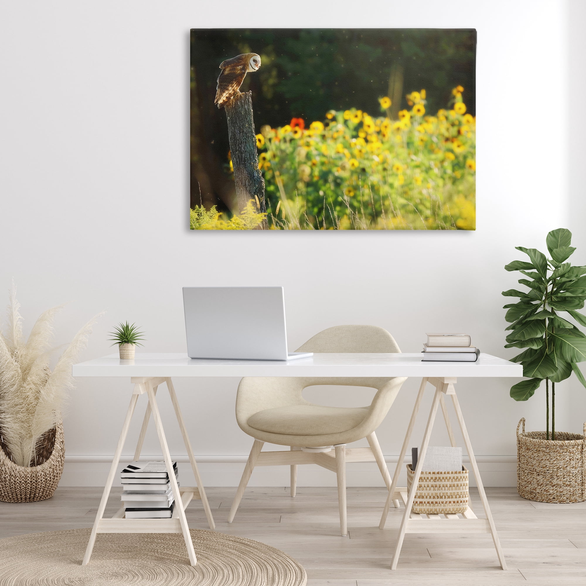 Stupell Industries Owl Perched in Meadow Landscape Photography Gallery Wrapped Canvas Art Print Wall Art, 45 x 30
