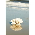 thumbnail image 2 of Bryant, Susan 17x24 White Modern Wood Framed Museum Art Print Titled - Coral Reflection, 2 of 4