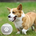 thumbnail image 4 of La pelota elástica sólida es adecuada para el agarre de la pelota, juguetes para mascotas que contrarrestan y aburren la dentición del perro, pelota sólida de plástico que rebota., 4 of 6