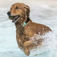 thumbnail image 5 of ERK Collier pour Animaux Collier pour Chiens et Chats Portée Illimitée Dispositif de Localisation Intelligent Compatible avec le Suivi Réel des Animaux, 5 of 5