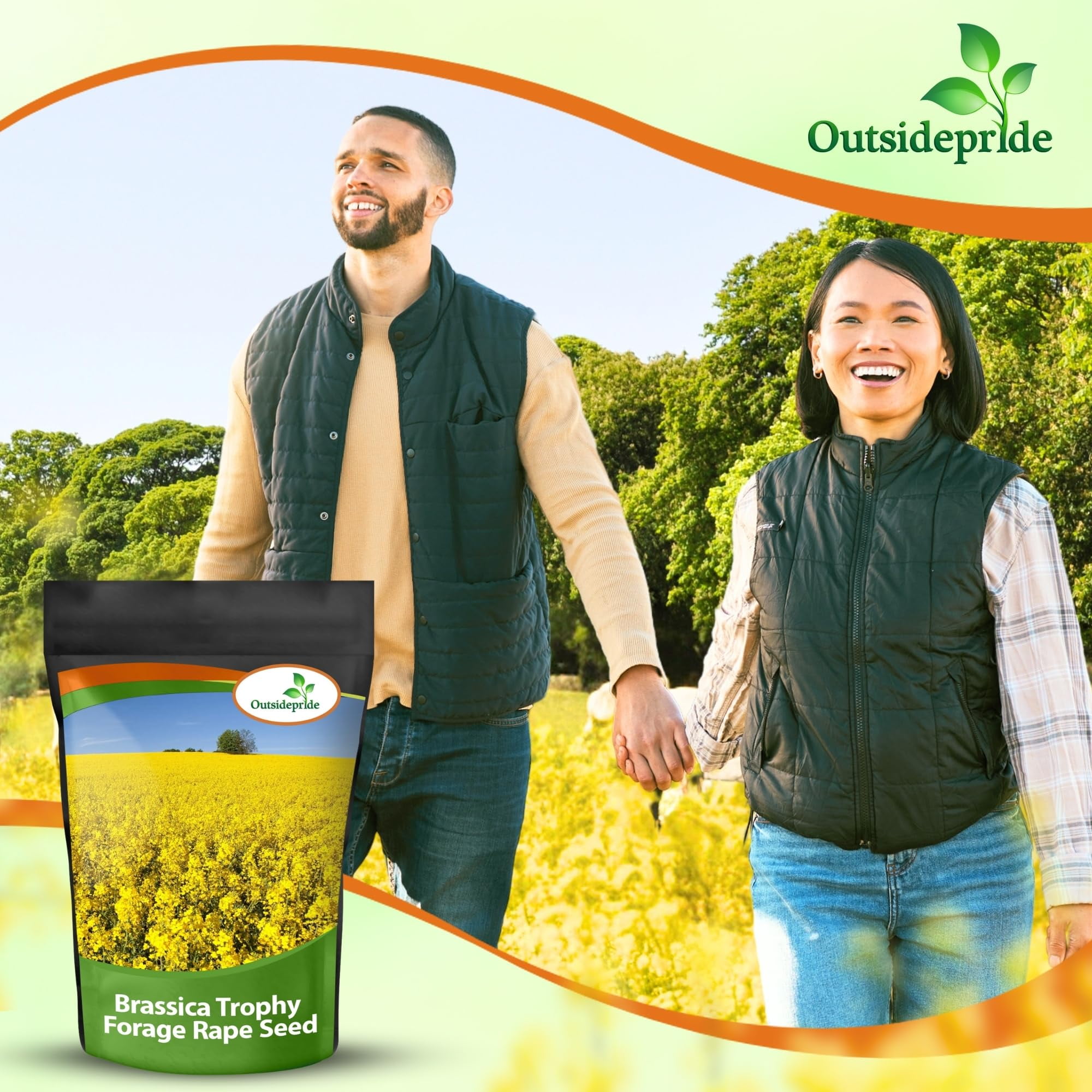 Outsidepride forage Rape Plant Seeds, Frost Resistant, High Protein