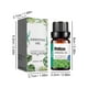 thumbnail image 3 of Aceite, mejora la salud cerebral, fortalece la concentración, mejora la memoria y mejora el estado de ánimo, 10 ml Una solución, 3 of 9