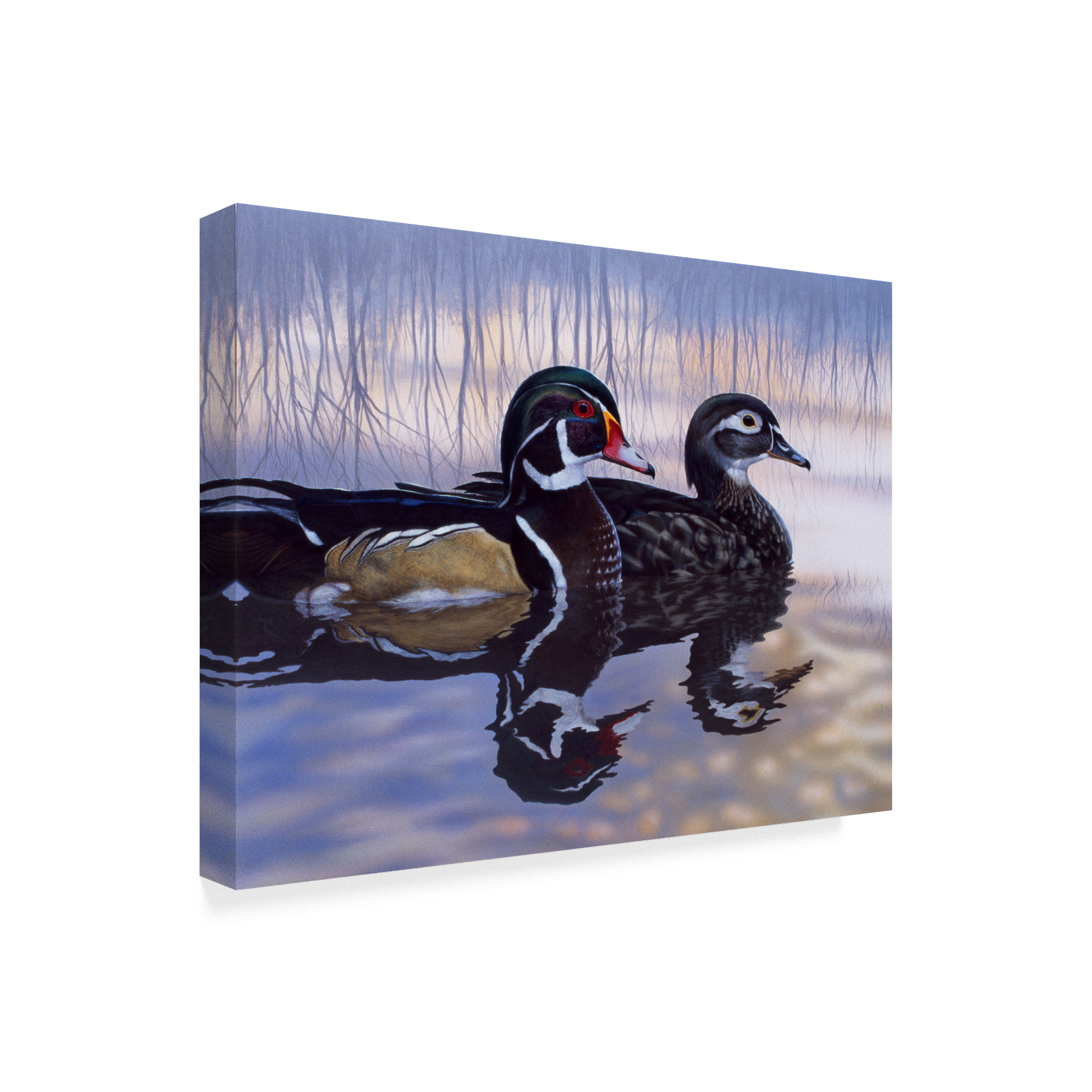 Trademark Fine Art 'Just Ducky' Canvas Art by Rusty Frentner