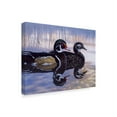 thumbnail image 2 of Trademark Fine Art 'Just Ducky' Canvas Art by Rusty Frentner, 2 of 3
