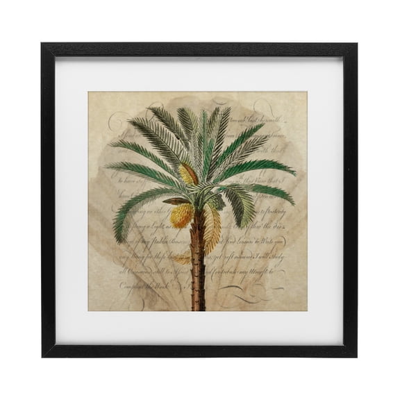 Stupell Industries Vintage Subdued Palm Black Framed Print Under Glass, design by Steve Hunziker
