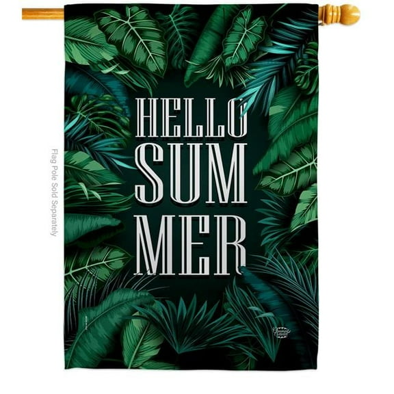 Ornament Collection H190070-BO Hello Summer Summertime Fun & Sun 28 x 40 in. Double-Sided Decorative Vertical House Flags for Decoration Banner Garden Yard Gift