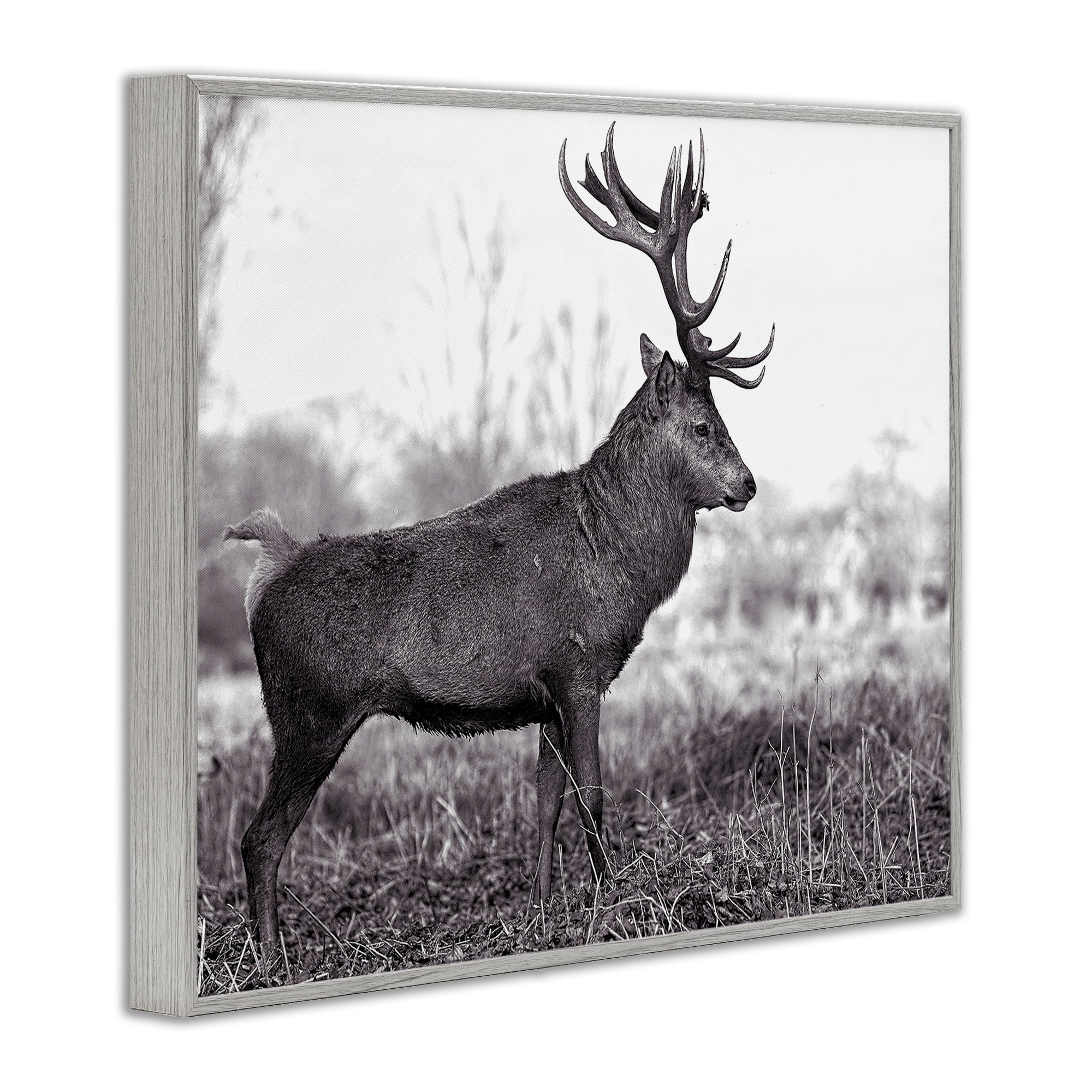 Stupell Industries Elk in Peaceful Forest Animals & Insects Photography Gray Framed Art Print Wall Art, 30 x 24