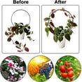 thumbnail image 3 of Dalrosia 2PCS Garden Trellis for Climbing Plants- Rust Free Vine Plant Metal Support Wire with Black Coating Decorative Potted Plants Climbing Holder Rack for Garden Stem Stalks Vines, 3 of 6