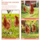 thumbnail image 3 of unbranded 2Ud Para Patio Con Estacas Acrílicas De Gallina Marrón, 3 of 7