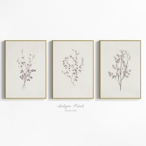 Botanical Wall Art, Vintage Neutral Branch Drawing, Set of 3 Minimalist Neutral Floral Sketch Prints, Farmhouse Cottagecore Decor, Poster Only