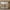 Antique White, variant on International Caravan, Inc Windsor Carved Wood Half-moon Hall Table - Walnut