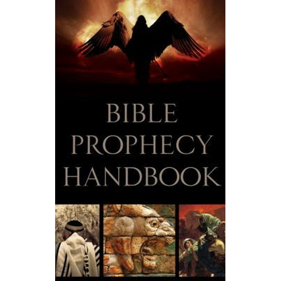 Pre-Owned Bible Prophecy Handbook (VALUE BOOKS) (Unknown) 1602608741 9781602608740