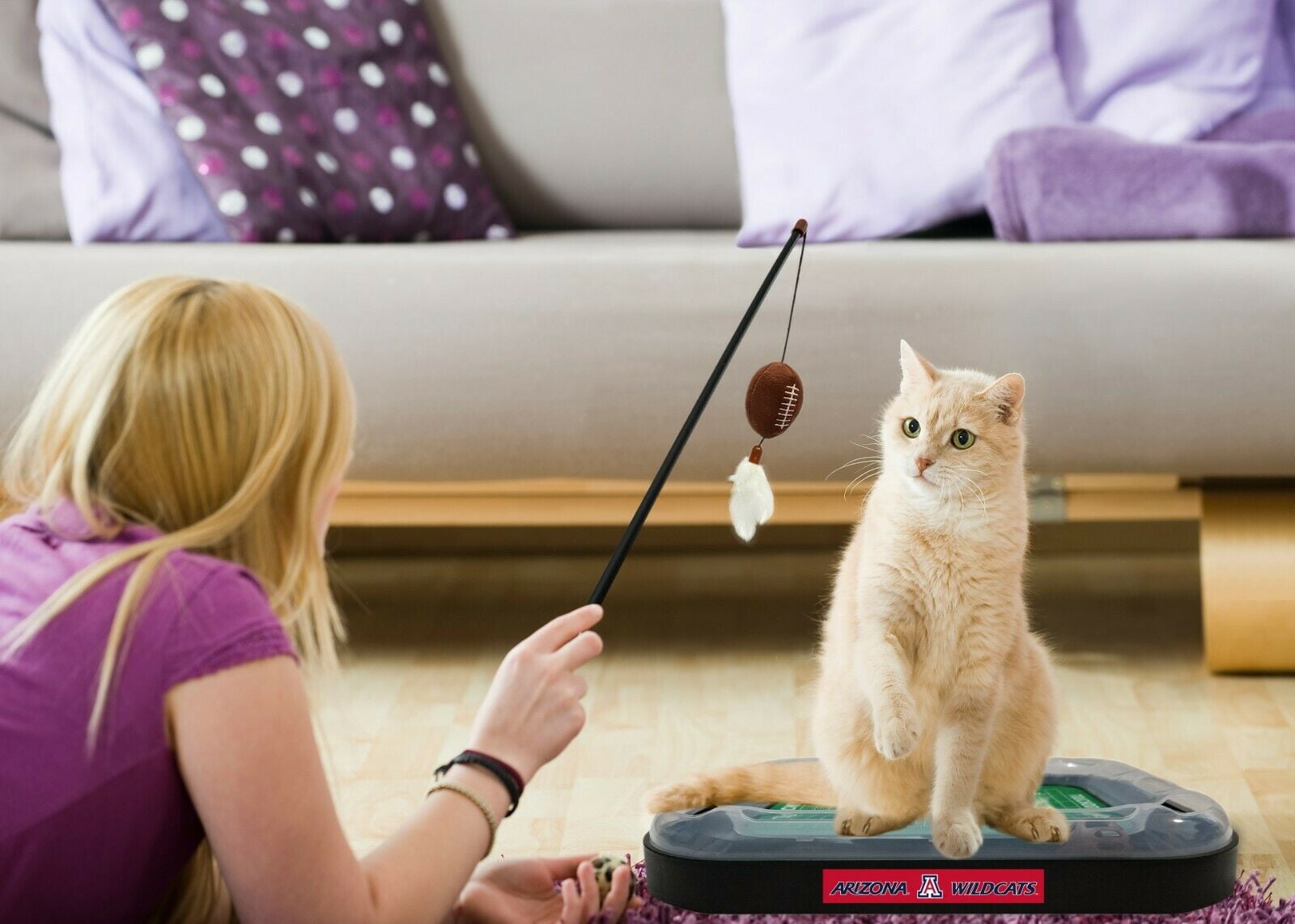 NCAA Arizona Wildcats CAT Scratcher Toy with Catnip Plush & Feather Cat Toy 5-in-1 Kitty Toy