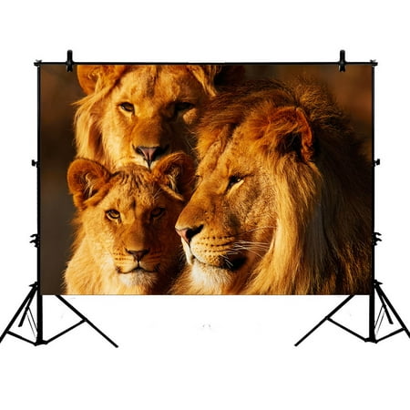 YKCG 7x5ft Sunset African Landscape Wildlife Animal Lions Photography Backdrops Polyester Photography Props Studio Photo Booth (Best Wildlife Photography Locations)