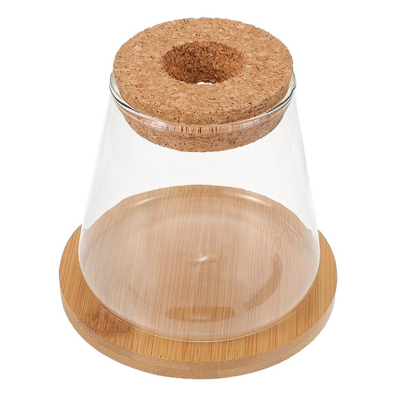 LOLIPPYY 1 Set of Bowl with Lid Glass Aquarium for with Space-saving Design