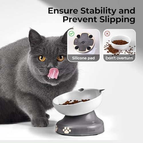 Slow Feeder Cat Bowl, Ceramic Elevated Cat Bowl Tilted Design Slow Feeder for Dog and Cat for Dry and Wet Food, Gray
