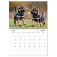 thumbnail image 6 of The brave protector (Monthly Wall Calendar 2026 16.5 x 23.4 (open)), CALVENDO 14 Month Calendar, 6 of 9