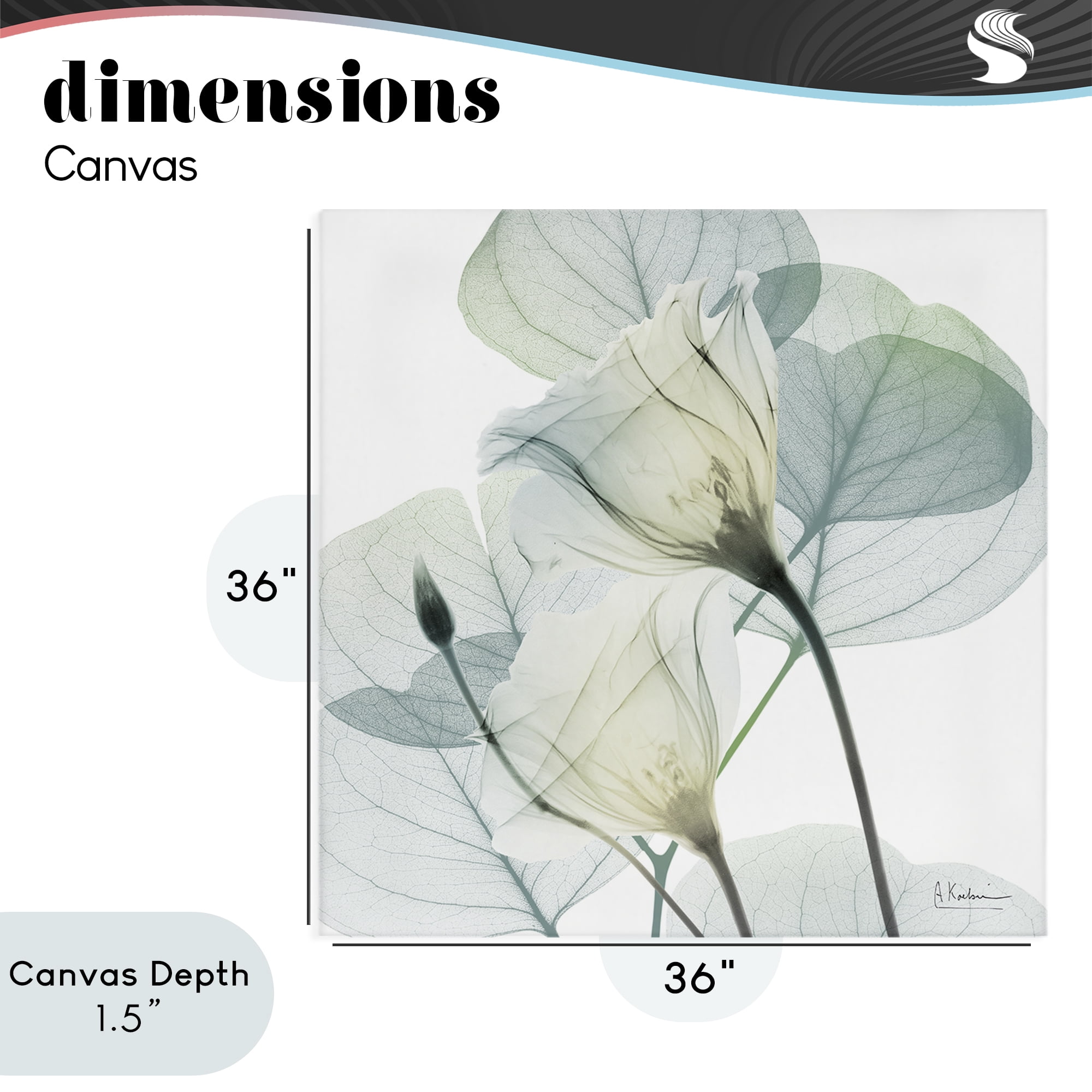 Stupell Industries Divine Fate Petals Canvas Wall Art, design by Albert Koetsier