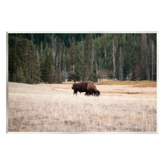 Stupell Bison Grazing Rural Country Landscape Animals & Insects Photography Wall Plaque Unframed Art Print Wall Art