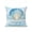 LightBLue, variant on 1 Pack Outdoor Throw Pillow, Ocean Shell Waterproof Pillow with Insert Included, Summer Coastal Marine Seashell Wooden Gray Decorative Accent Cushion Sofa Pillows for Patio Porch, 16 x 16 In
