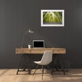 thumbnail image 3 of Dragt, Wilco 24x17 White Modern Wood Framed Museum Art Print Titled - Hallerbos, 3 of 4
