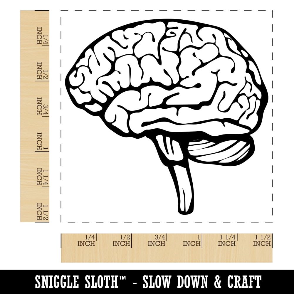 Human Brain with Cerebellum and Medulla Oblongata Self-Inking Rubber Stamp Ink Stamper - Black Ink - Large 1-1/2 Inch