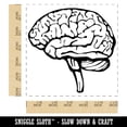 thumbnail image 2 of Human Brain with Cerebellum and Medulla Oblongata Self-Inking Rubber Stamp Ink Stamper - Red Ink - Large 1-1/2 Inch, 2 of 7