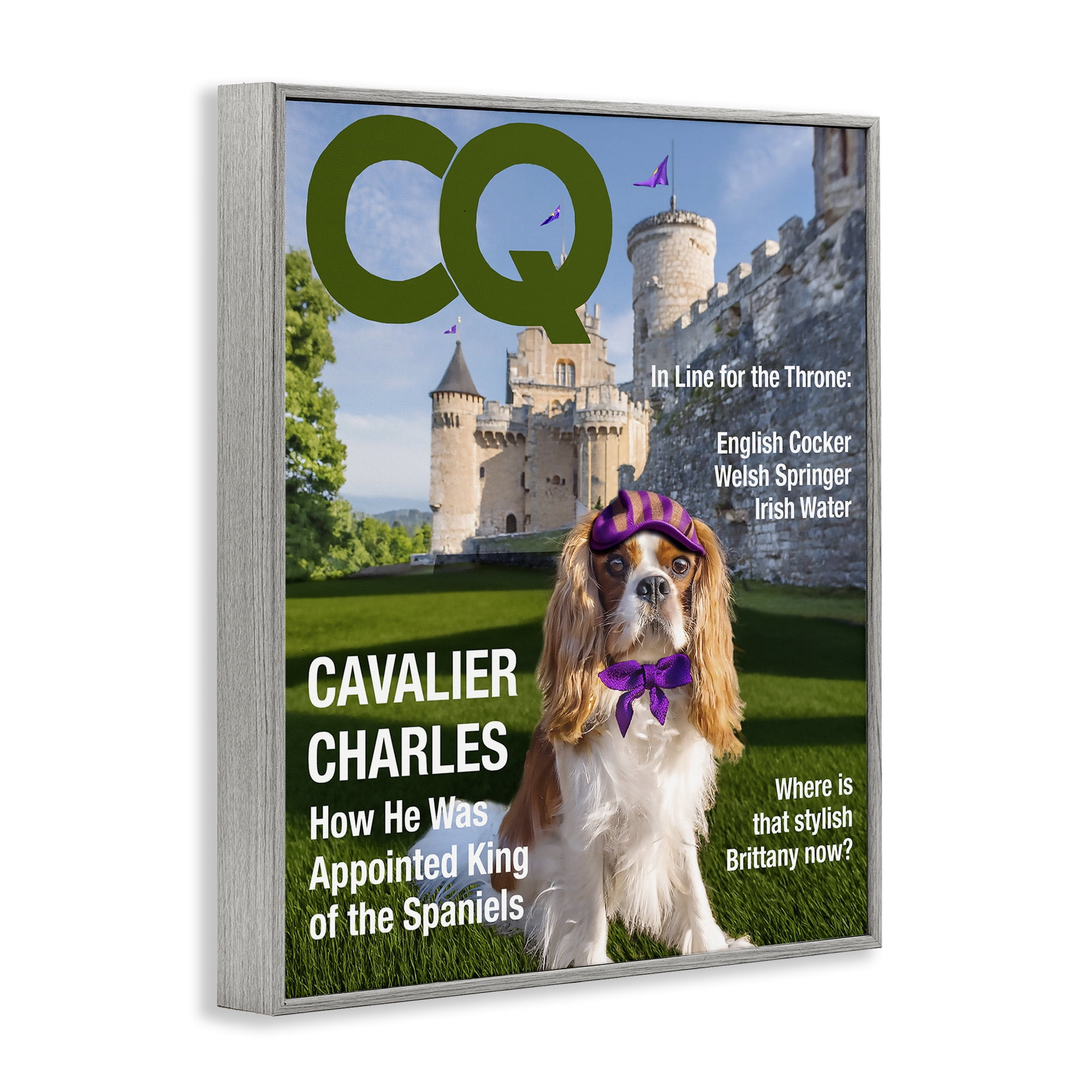 Stupell Industries Royal Cavalier Magazine Gray Framed Giclee Art, design by Grotto Studios