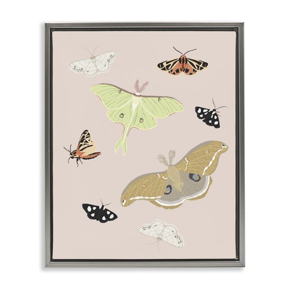 Stupell Industries Eclectic Moths & Butterflies on Pink Gray Floating Frame Canvas Art, 25 x 31, by Sweet Melody Designs