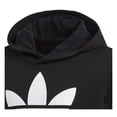 thumbnail image 2 of Adidas Trefoil Hoodie Big Kids Style : Dv2870, 2 of 5