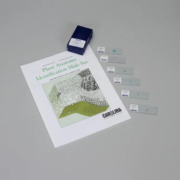 Plant Anatomy Identification Student Microscope Slide Set