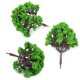 thumbnail image 4 of 3 uds adorno de árbol en miniatura suculentas plantas de micropaisaje decoración artesanal DIY, 4 of 8