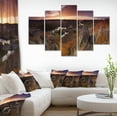 thumbnail image 1 of Rural Autumn Sunset Panorama - Landscape Canvas Art Print, 1 of 4