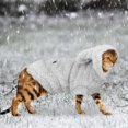 thumbnail image 1 of Warm Cat Clothes Winter Pet Puppy Kitten Coat Jacket For Small Medium Dogs Cats Chihuahua Yorkshire Clothing Costume Pink S-2XL ShopWise Round, 1 of 7