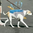 thumbnail image 7 of Dog Vest Breathable Adjustable Summer Dog Jacket for Small Medium Large Dogs Outdoor Pet Chest Strap, 7 of 7