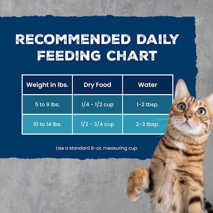 Blue Buffalo Wilderness Bone Broth Boosted Salmon Dry Cat Food, 5lb photo 5