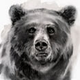 thumbnail image 2 of Parker, Jennifer Paxton 26x26 Black Ornate Wood Framed with Double Matting Museum Art Print Titled - Bear Grin II, 2 of 4